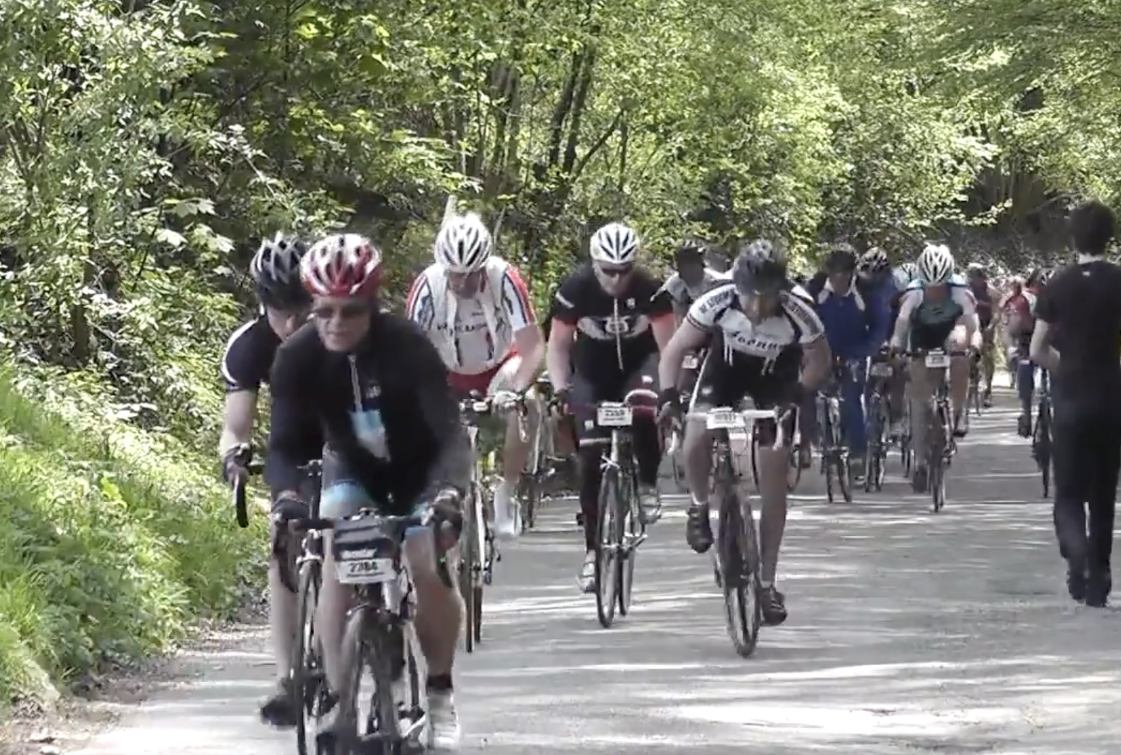 AGR 2011 Screenshot