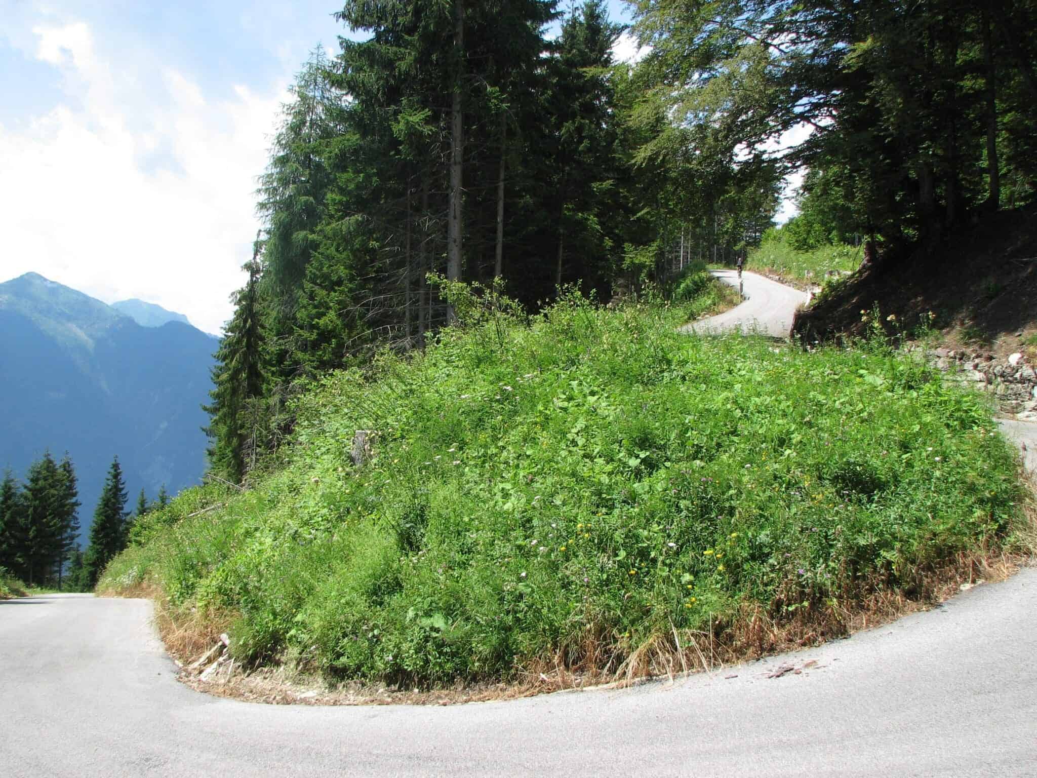 Monte Zoncolan - Steep, Steeper, Steepest