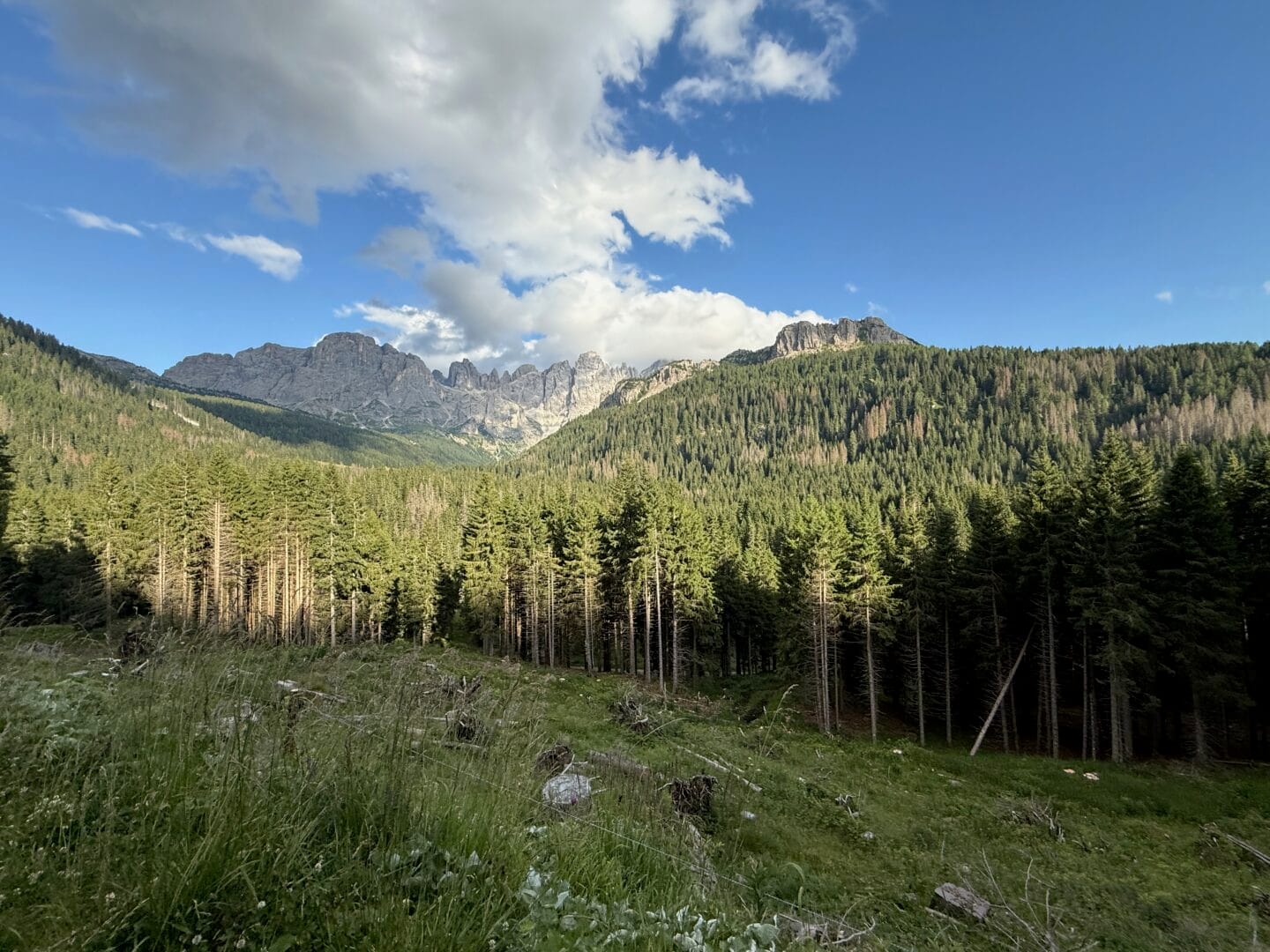 View on Val Vengia and the Pale di San Martino, one of the nine systems of the Dolomites