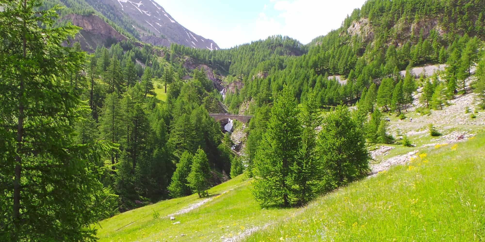 Col d'Allos 2014